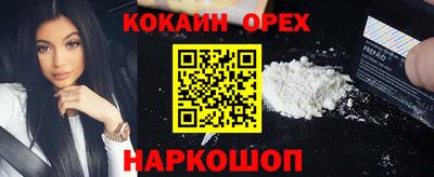 молекула духа Краснознаменск
